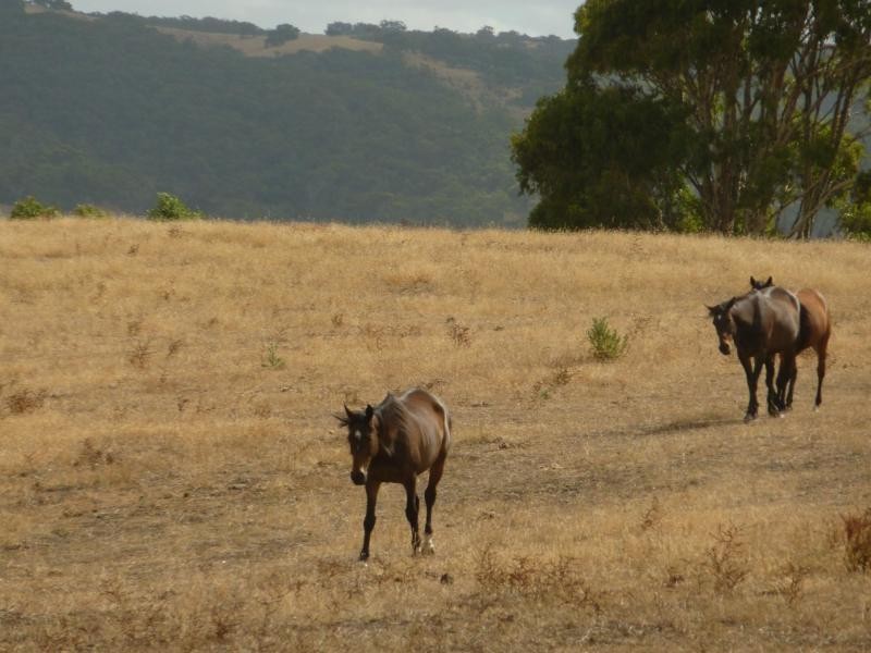 130 James Trac , Inman Valley, Yankalilla SA 5203