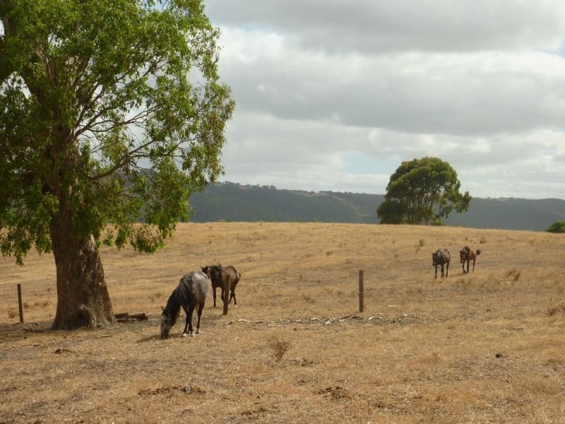 130 James Trac , Inman Valley, Yankalilla SA 5203