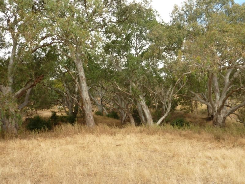 130 James Trac , Inman Valley, Yankalilla SA 5203