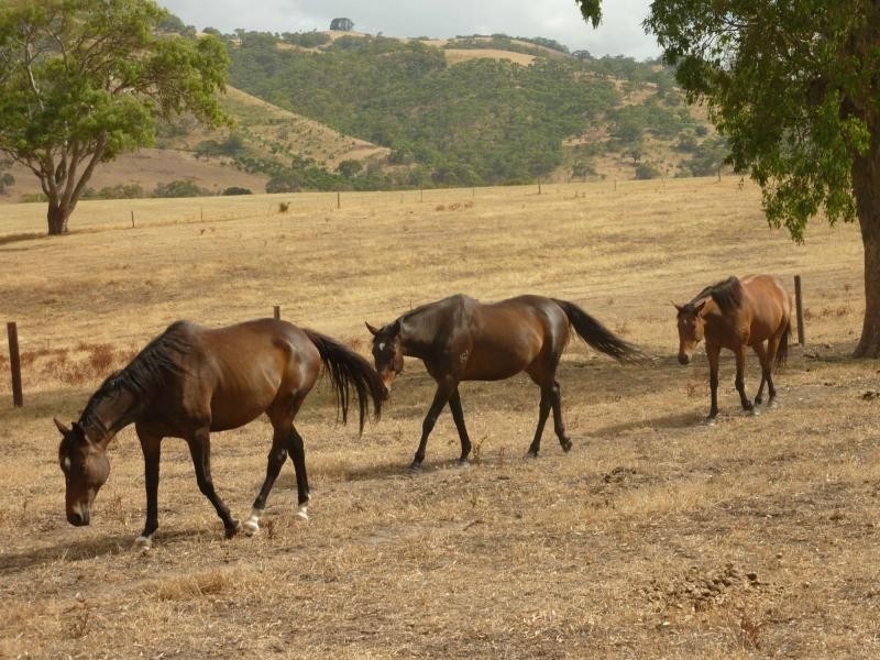 130 James Trac , Inman Valley, Yankalilla SA 5203