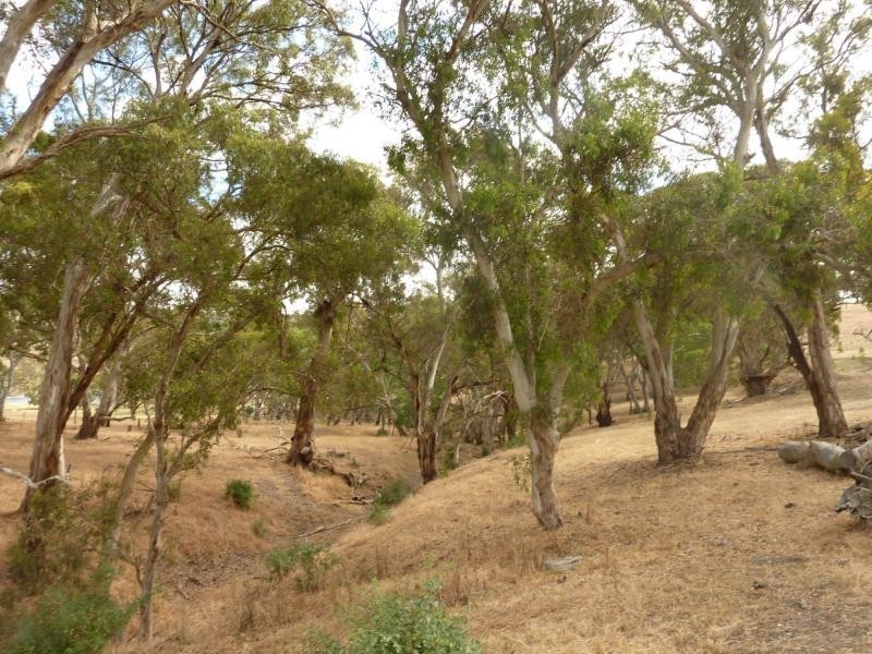 130 James Trac , Inman Valley, Yankalilla SA 5203