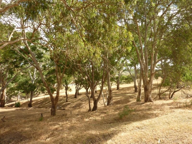 130 James Trac , Inman Valley, Yankalilla SA 5203