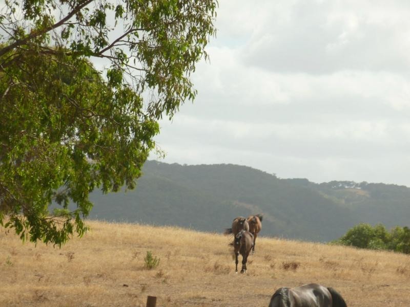 130 James Trac , Inman Valley, Yankalilla SA 5203