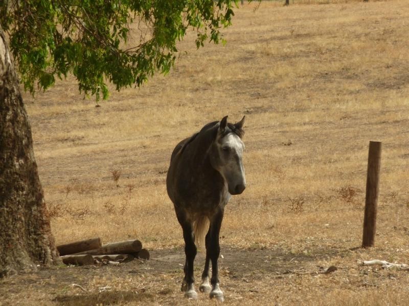 130 James Trac , Inman Valley, Yankalilla SA 5203