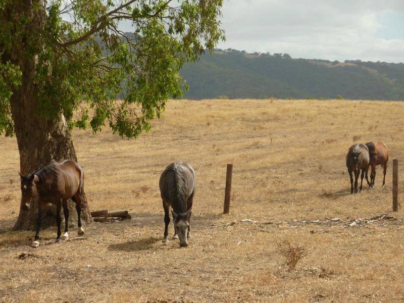 130 James Trac , Inman Valley, Yankalilla SA 5203