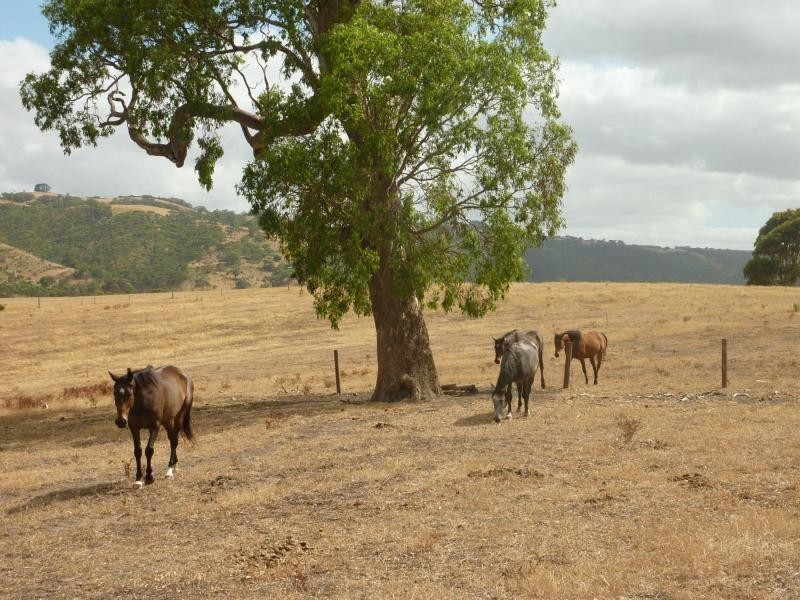 130 James Trac , Inman Valley, Yankalilla SA 5203
