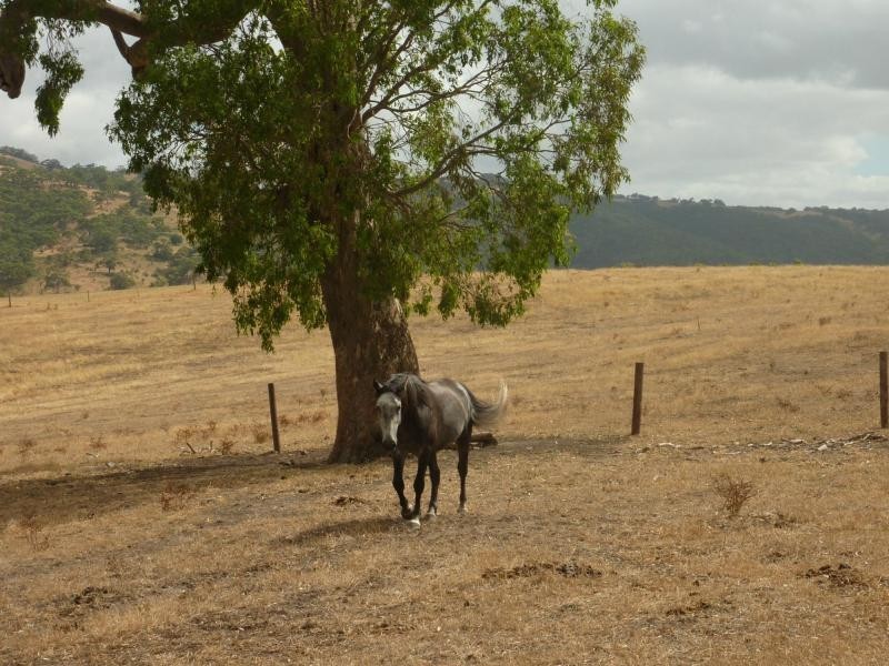 130 James Trac , Inman Valley, Yankalilla SA 5203
