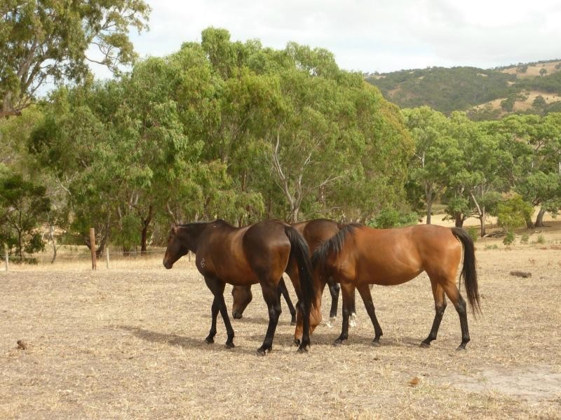 130 James Trac , Inman Valley, Yankalilla SA 5203