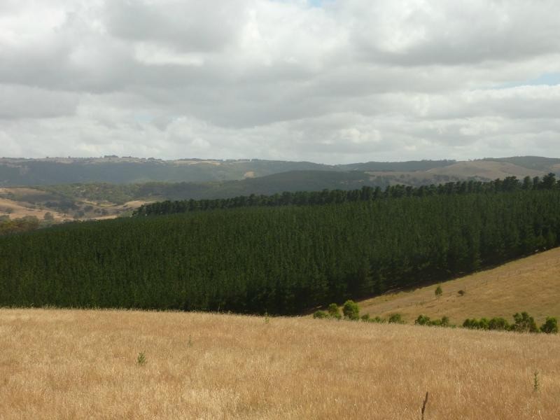 Victor Harbor SA 5211