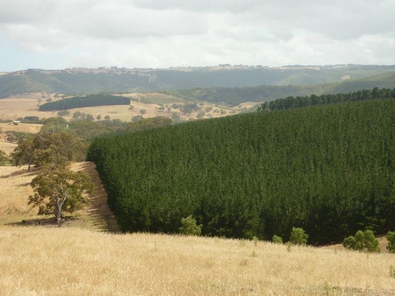 Victor Harbor SA 5211