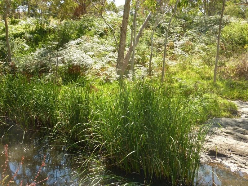 19 Mount Alma Road, Inman Valley, Inman Valley SA 5211