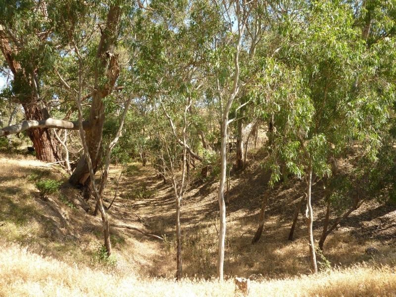 19 Mount Alma Road, Inman Valley, Inman Valley SA 5211