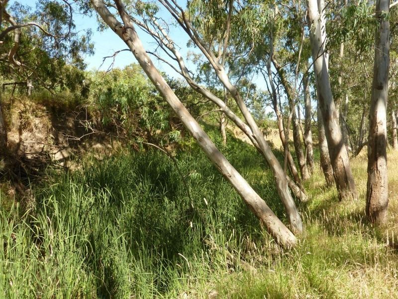 19 Mount Alma Road, Inman Valley, Inman Valley SA 5211