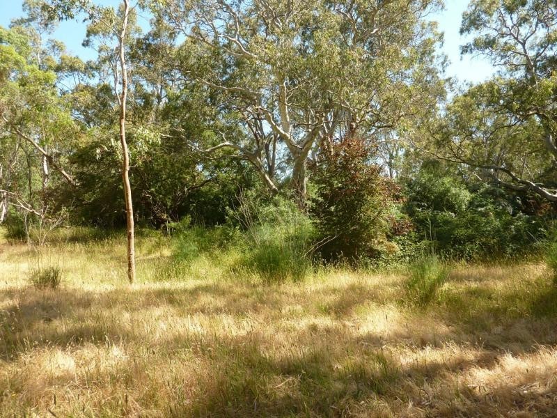 19 Mount Alma Road, Inman Valley, Inman Valley SA 5211