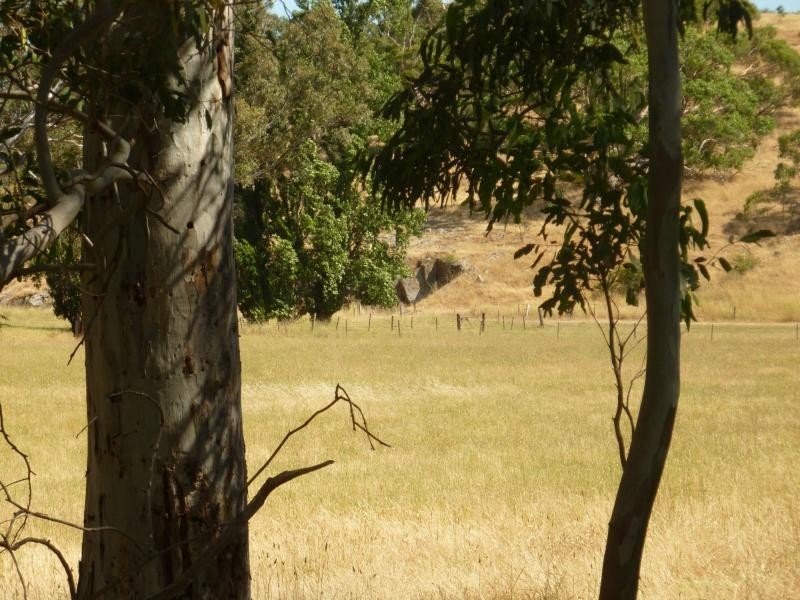 19 Mount Alma Road, Inman Valley, Inman Valley SA 5211