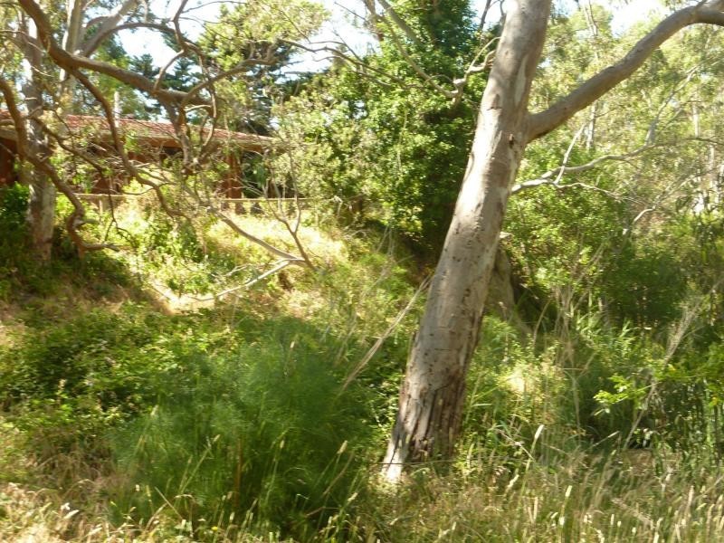 19 Mount Alma Road, Inman Valley, Inman Valley SA 5211