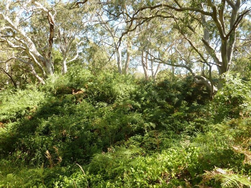 19 Mount Alma Road, Inman Valley, Inman Valley SA 5211