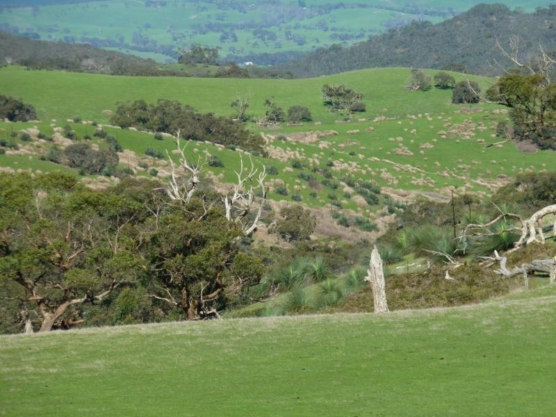 L967C Springmount Road, Inman Valley, Inman Valley SA 5211