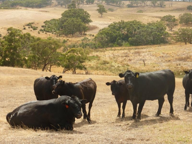 1154 James Track, Myponga SA 5202