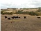 1154 James Track, Myponga SA 5202