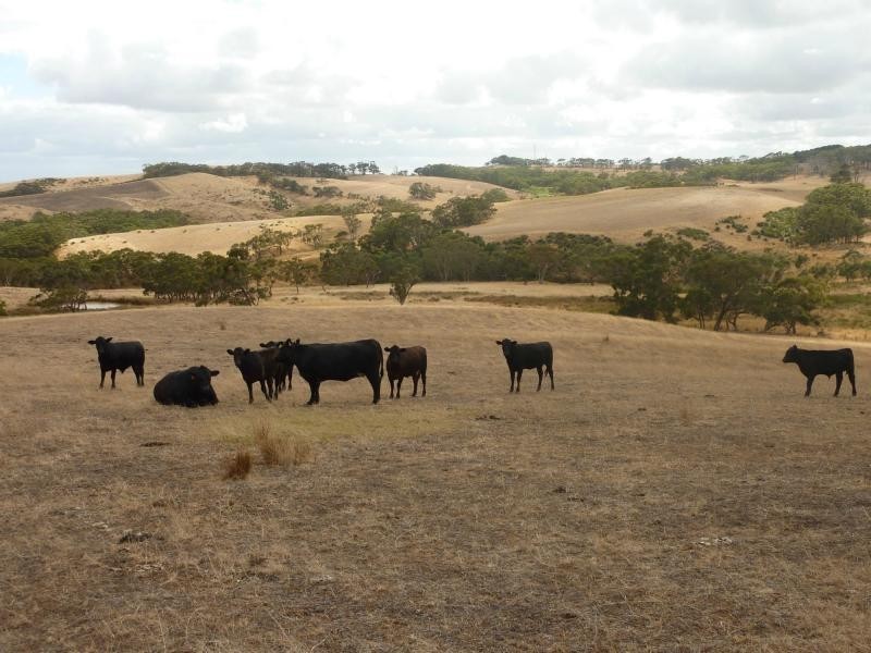 1154 James Track, Myponga SA 5202