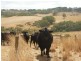 1154 James Track, Myponga SA 5202