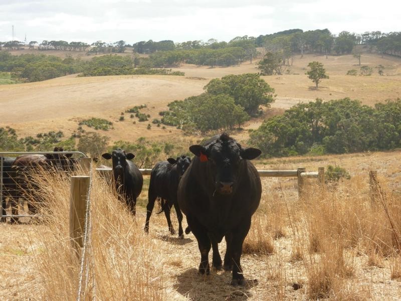 1154 James Track, Myponga SA 5202