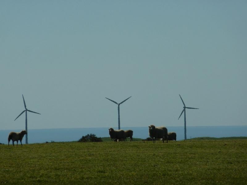 Lot 13 Range Road West , Delamere / Parawa, Normanville SA 5204