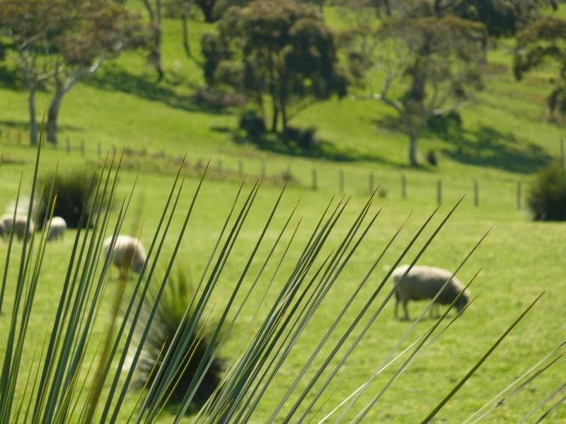 Lot 13 Range Road West , Delamere / Parawa, Normanville SA 5204