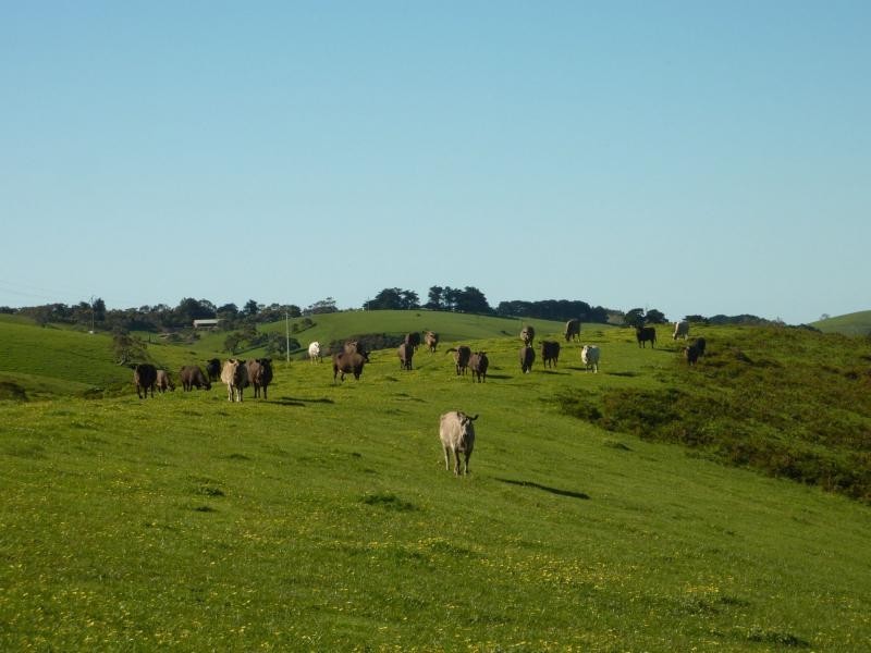 L20 Main South Road, Delamere / Parawa, Delamere SA 5204