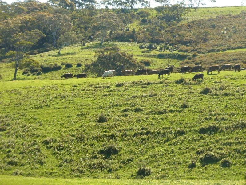 L20 Main South Road, Delamere / Parawa, Delamere SA 5204