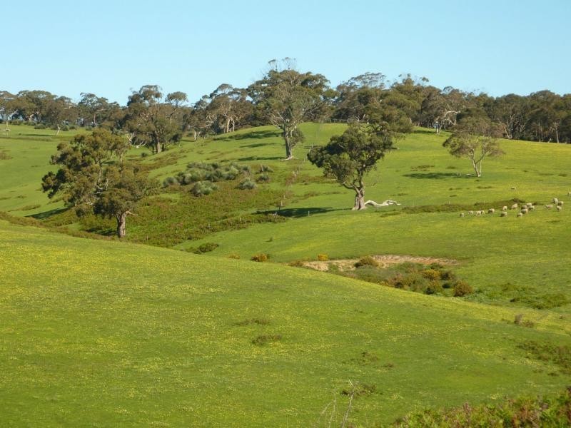 L20 Main South Road, Delamere / Parawa, Delamere SA 5204