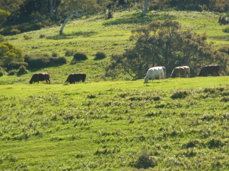 L20 Main South Road, Delamere / Parawa, Delamere SA 5204