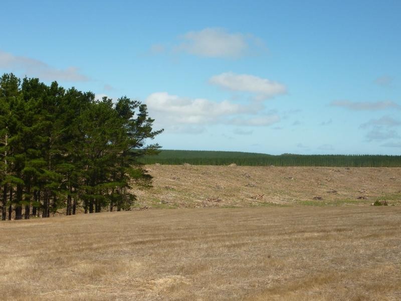 133 Cole Road, Delamere, Normanville SA 5204