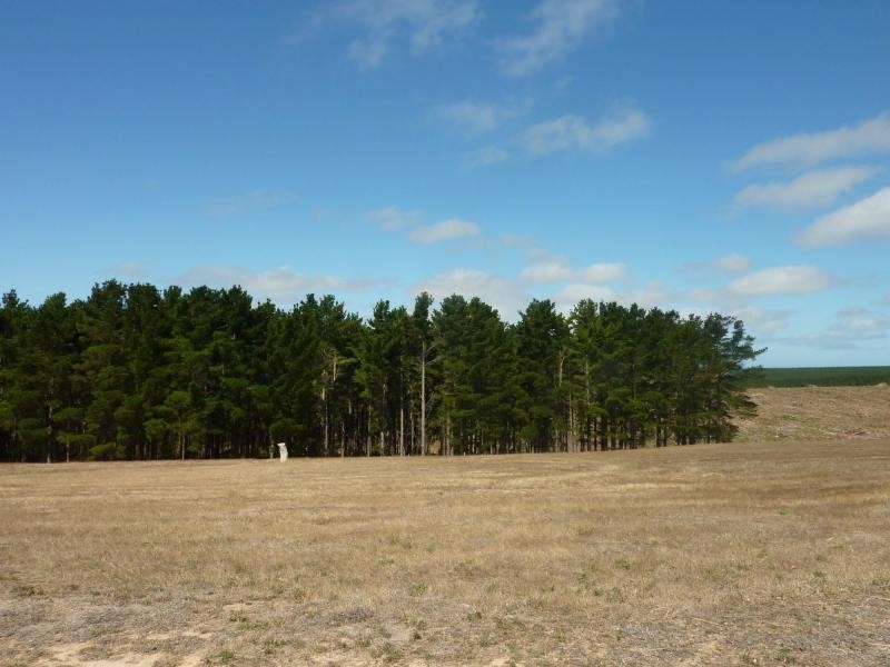 133 Cole Road, Delamere, Normanville SA 5204