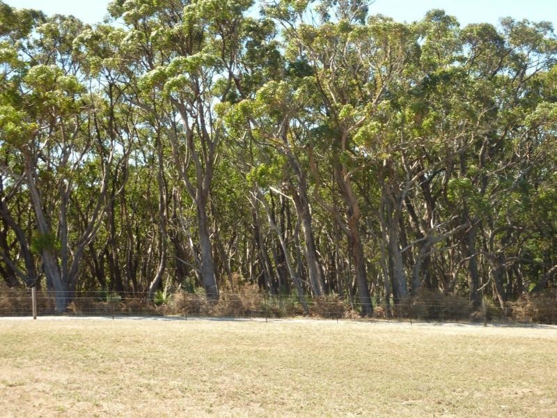 133 Cole Road, Delamere, Normanville SA 5204