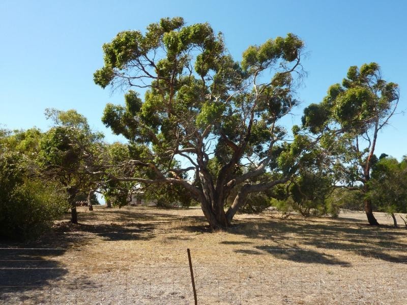 133 Cole Road, Delamere, Normanville SA 5204