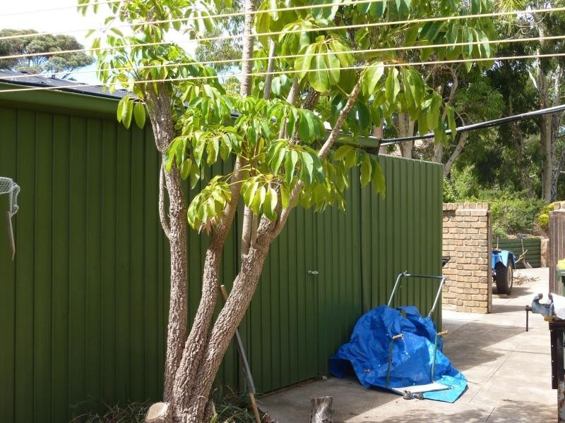 6 Bayvue Close, Carrickalinga SA 5204