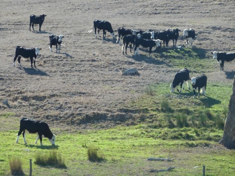 L12 Old Back Valley Road , Back Valley, Inman Valley SA 5211