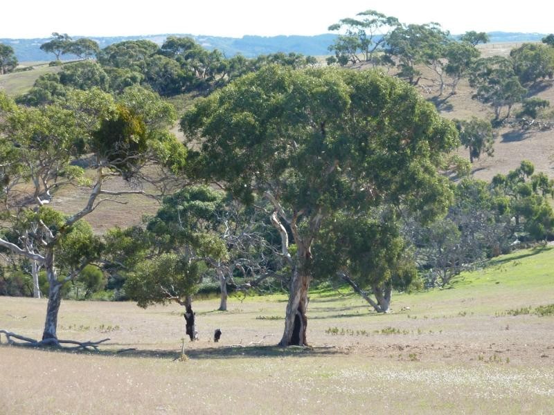 L12 Old Back Valley Road , Back Valley, Inman Valley SA 5211
