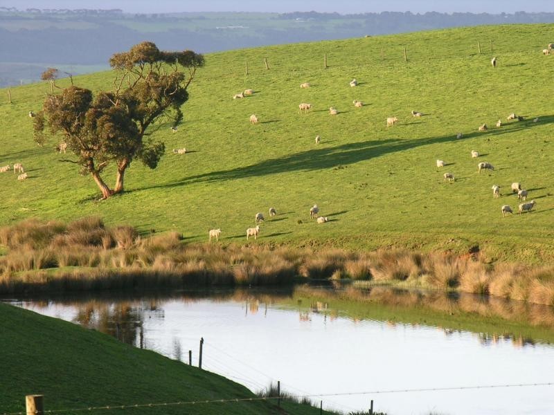 771 Springmount Road, Myponga SA 5202