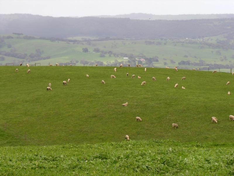 771 Springmount Road, Myponga SA 5202