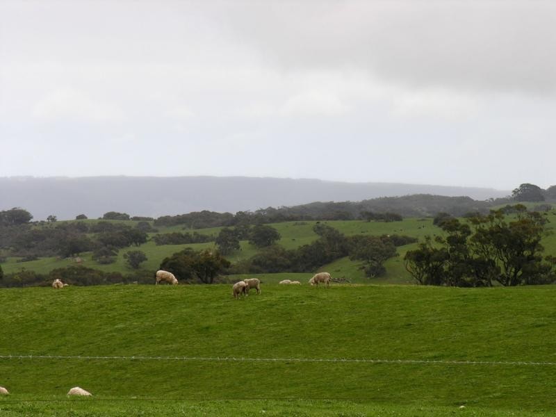 771 Springmount Road, Myponga SA 5202