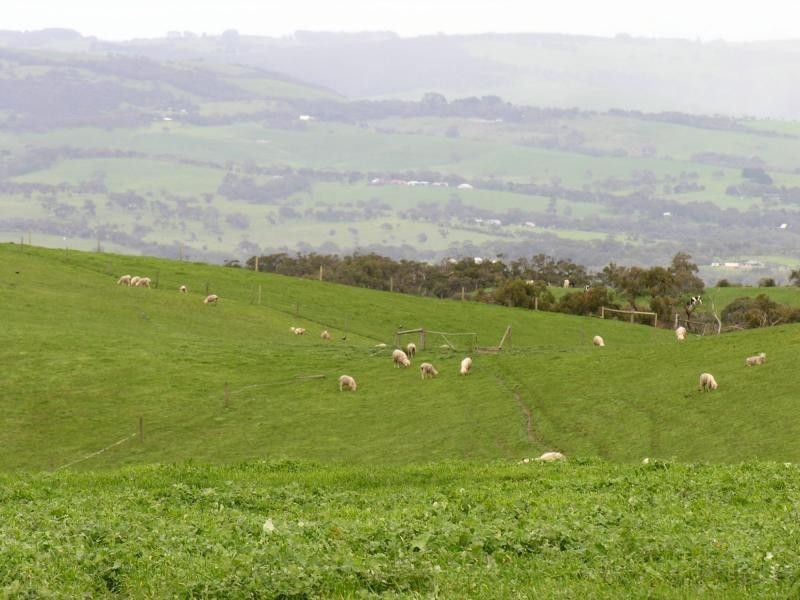 771 Springmount Road, Myponga SA 5202