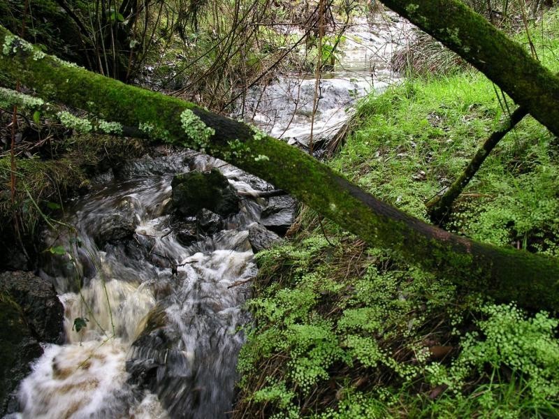 771 Springmount Road, Myponga SA 5202