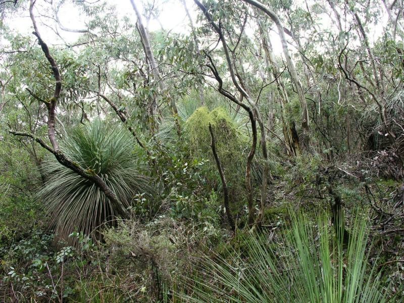 771 Springmount Road, Myponga SA 5202