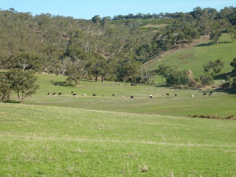 300 Yulte Road, Myponga SA 5202