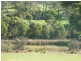 300 Yulte Road, Myponga SA 5202