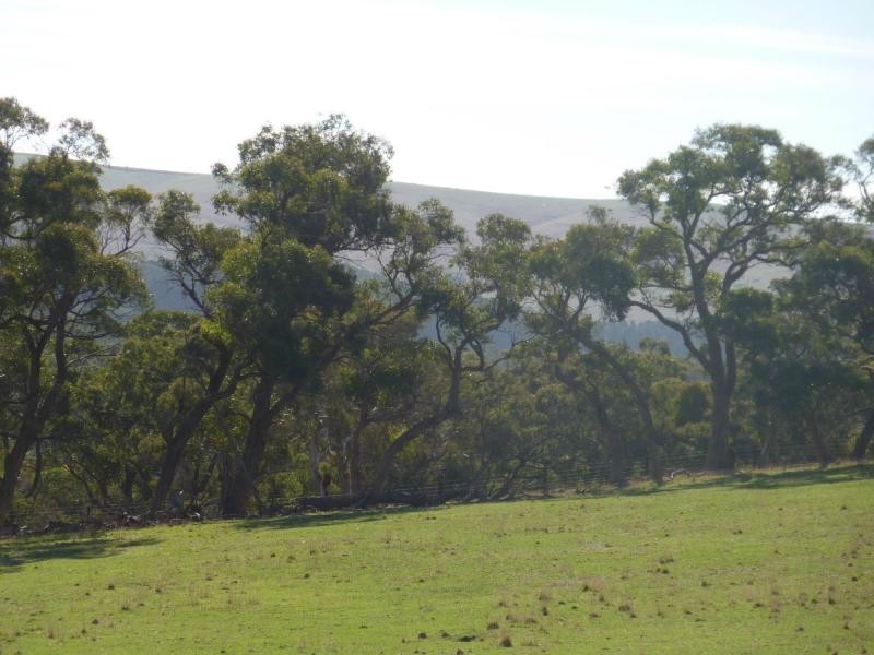 300 Yulte Road, Myponga SA 5202