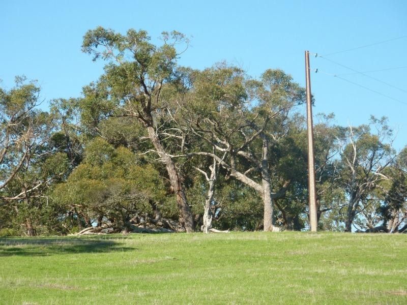 300 Yulte Road, Myponga SA 5202